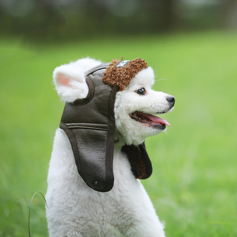 Animaux de compagnie