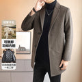 Men's Double-Sided Wool Mid-Length Cashmere Wool Coat Men's Autumn and Winter High-End Down Liner Wool Coat