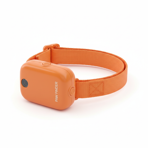 Collier GPS
